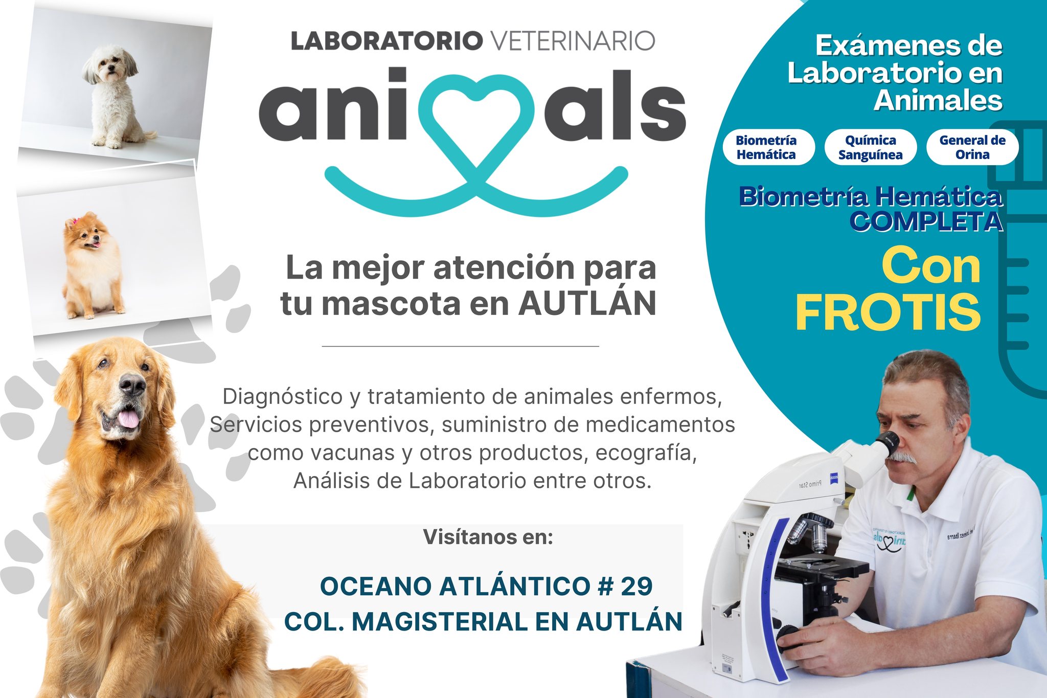 Laboratorio Veterinario Animals – Biometría Hemática con Frotis