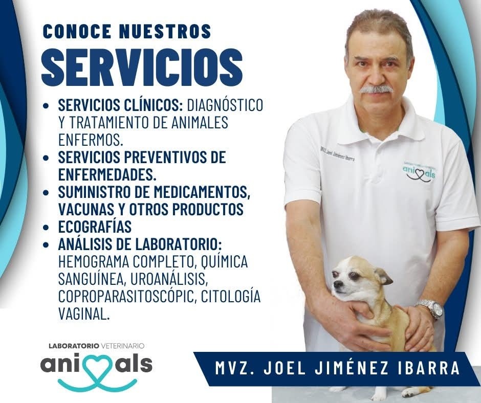 M.V.Z. Joel Jiménez Ibarra – Servicios del laboratorio